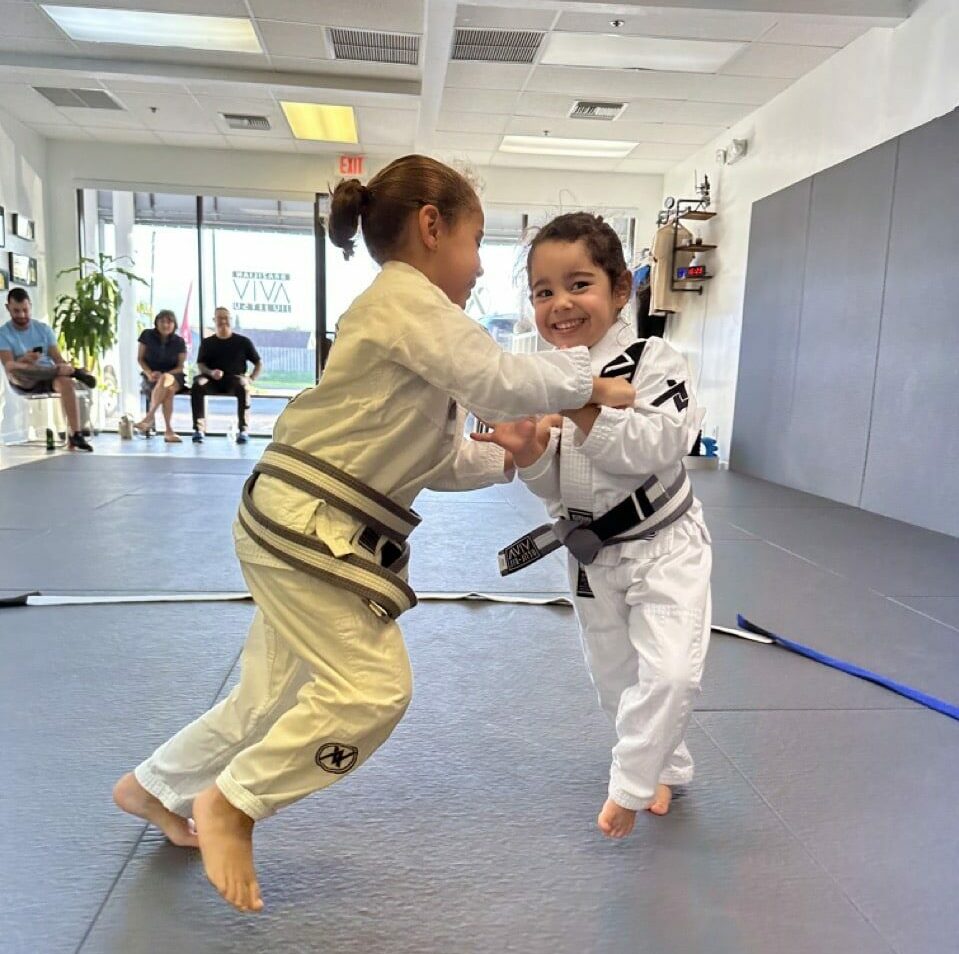 Aviv Jiu Jitsu Kids Jiu Jitsu Programs
